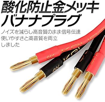 51DyslpU+8L._AC_UF350,